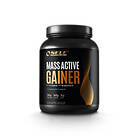 Self Omninutrition Mass Active Gainer 2kg