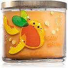 Bath & Body Works 3-week Peach Bellini Doftljus