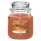 Yankee Candle Medium Jar Woodland Road Trip