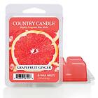 Country Candle Daylight Wax Melts Sunshine & Daisies