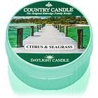 Country Candle Daylight 12h Citrus & Seagrass Duftlys