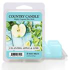 Country Candle Daylight Wax Melts Cilantro, Apple & Lime