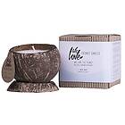 We Love The Planet Arctic White Coconut Scented Candle