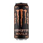 Monster Energy Mule Ginger Burk 0,5l 6-pack
