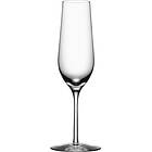Orrefors Edge Champagneglas 6-pack