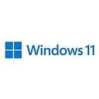 Microsoft Windows 11 Pro Dan (64-bit OEM)