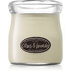 Milkhouse Candle Co. Creamery Citrus & Lavender Cream Jar Scented Candle