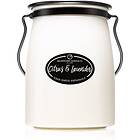 Milkhouse Candle Co. Creamery Citrus & Lavender Butter Jar Bougies Parfumées