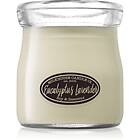 Milkhouse Candle Co. Creamery Eucalyptus Lavender Butter Jar Bougies Parfumées 1