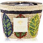 Baobab Collection Ravintsara Lamba Scented Candle