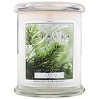 Kringle Candle Medium Classic Jar 2 Wick Balsam Fir Bougies Parfumées