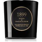 Cereria Molla Gold Edition Premium Ginger & Orange Blossom Scented Candle