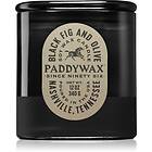 Paddywax Vista Black Fig & Olive Scented Candle