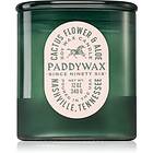 Paddywax Vista Cactus Flower & Aloe Scented Candle