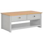 vidaXL Coffee Table Grey 100x50x42 cm