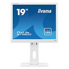 Iiyama ProLite B1980D-W1 19" HD