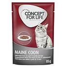 Concept for Life Cat Adult Maine Coon 12x0.085kg