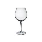 Bormioli Rocco Premium Wine Glass 66cl 2-pack
