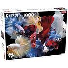 Tactic Fighting Fish Puslespill 1000 Brikker