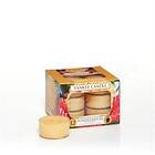 Yankee Candle Tea Waikiki Melon 12-pack