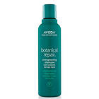 Aveda Botanical Repair Strengthening Shampoo 200ml