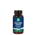 Kleen Collagen Type II + Vitamin C 60 Kapslar