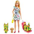 Barbie Chelsea The Lost Birthday GRT87