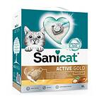 Sanicat Active Gold 6L