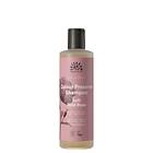 Urtekram Color Preserve Soft Wild Rose Shampoo 250ml