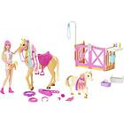 Barbie Groom 'n Care HGB58
