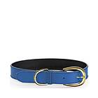 Swaggin Tails Colorful Halsband XS