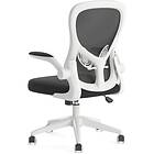 Hbada Ergonomic Desk Chair HDNY163WM