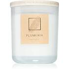 DW Home Plumeria Doftljus 264g