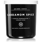 DW Home Cardamom Spice Doftljus 264g