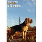 TheHunter: Call of the Wild - Bloodhound (Expansion)(PC)