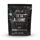 WellAware Workout Beta Alanine 0,4kg