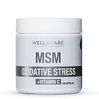 WellAware MSM + Vitamin C 100 Kapslar