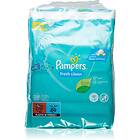 Pampers Fresh Clean Baby Wipes 4x80st