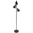 Scanlight Split (3L)