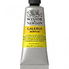 Winsor & Newton Galeria Akrylfärg Cadmium Yellow Pale Hue 114 60ml