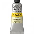 Winsor & Newton Galeria Akrylfärg Pale Lemon 434 60ml