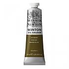 Winsor & Newton Winton Oljefärg Azo Brown 389 37ml