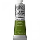 Winsor & Newton Winton Oljefärg Sap Green 599 200ml
