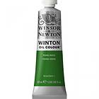 Winsor & Newton Winton Oljemaling Terre Verte 637 200ml