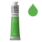 Winsor & Newton Winton Oljefärg Phthalo Yellow Green 403 200ml