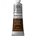 Winsor & Newton Winton Oljefärg Raw Umber 554 200ml