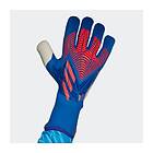 Adidas Predator Pro Gloves