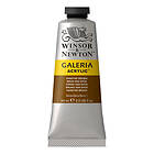 Winsor & Newton Galeria Akrylfärg Vandyke Brown 676 60ml