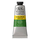 Winsor & Newton Galeria Akrylfärg Sap Green 599 60ml