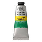 Winsor & Newton Galeria Akrylfärg Permanent Green Middle 484 60ml